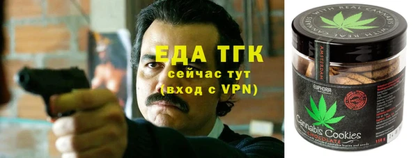 крисы Алексин