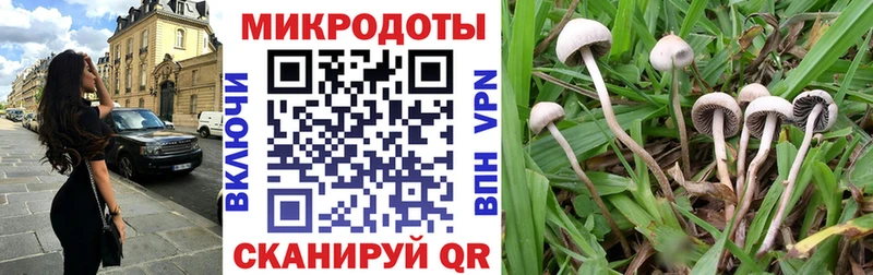 OMG ссылки  где купить наркоту  Георгиевск  Галлюциногенные грибы прущие грибы 